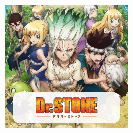 Dr. Stone
